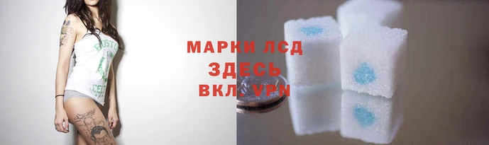 mdpv Дмитриев