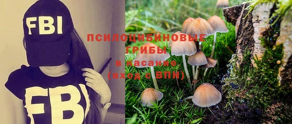 mdpv Дмитриев