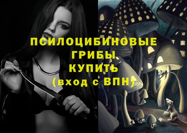 mdpv Дмитриев