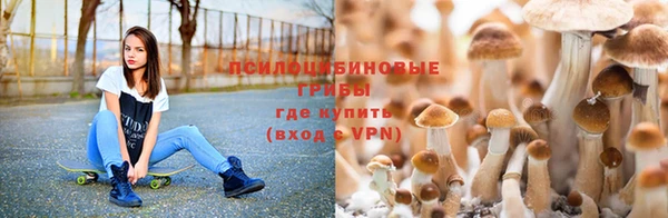 спиды Дмитровск