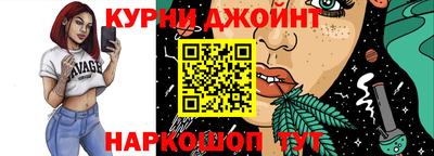 гидра Волгодонск
