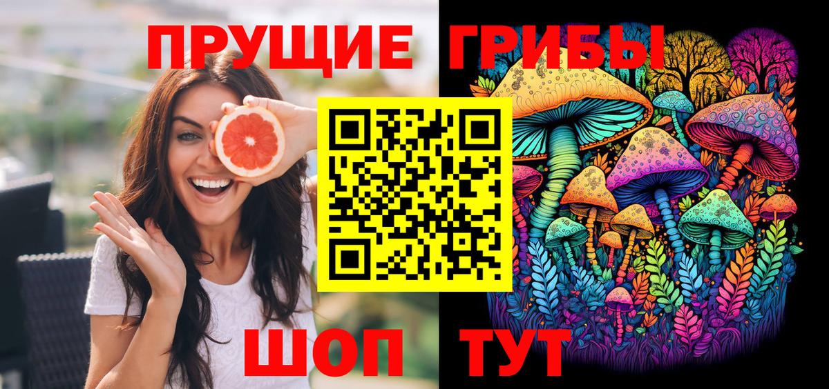 Псилоцибиновые грибы Psilocybe  Бор 