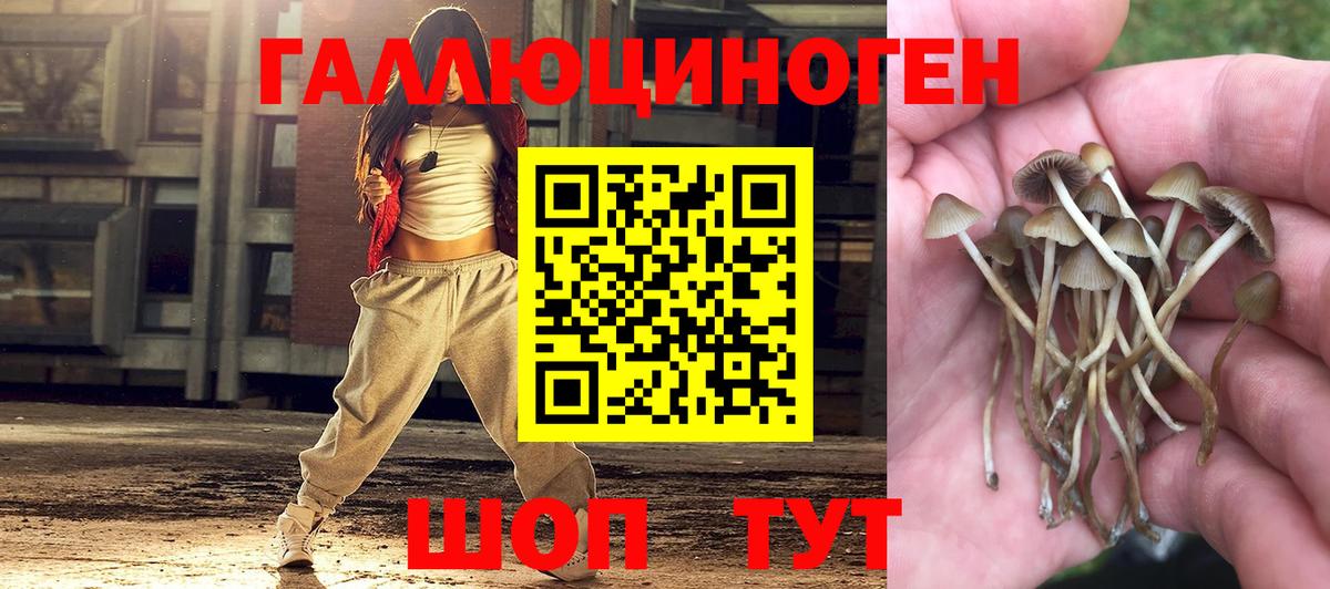 Галлюциногенные грибы MAGIC MUSHROOMS Бор
