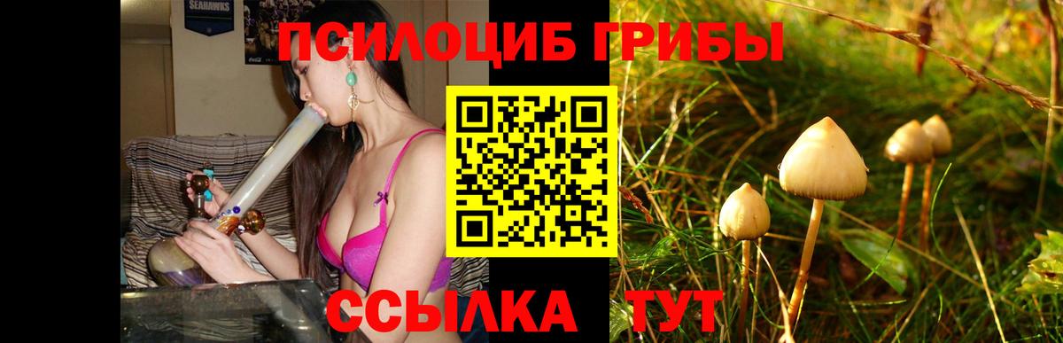 Галлюциногенные грибы мицелий  Галлюциногенные грибы GOLDEN TEACHER  Вход с VPN  хочу наркоту  Бор 
