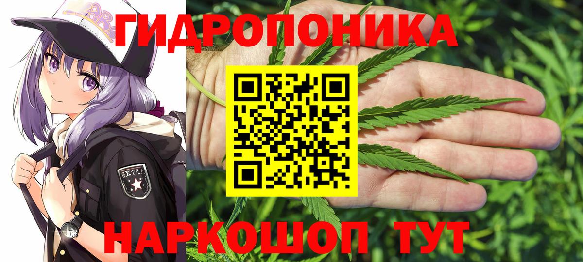 Бошки марихуана AK-47  Бор  Марихуана сатива 